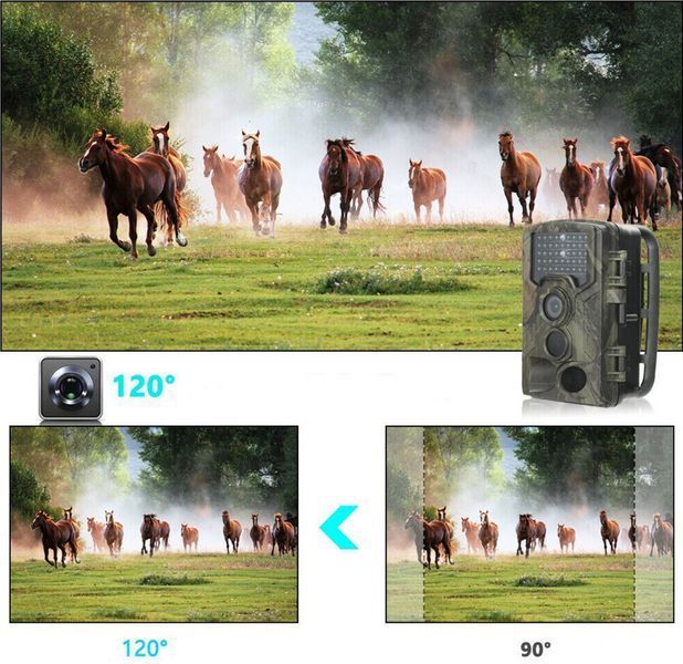 Фотопастка GSM Tophunt HC-300M (Польща) 98206363 фото